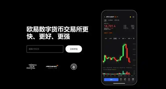 Tpay交易平台平台展示图